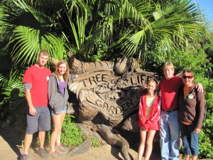 We recently went to Orlando and visited all of the Disney Theme parks in only two days!  We had a fantastic time, hope you enjoy our photos.