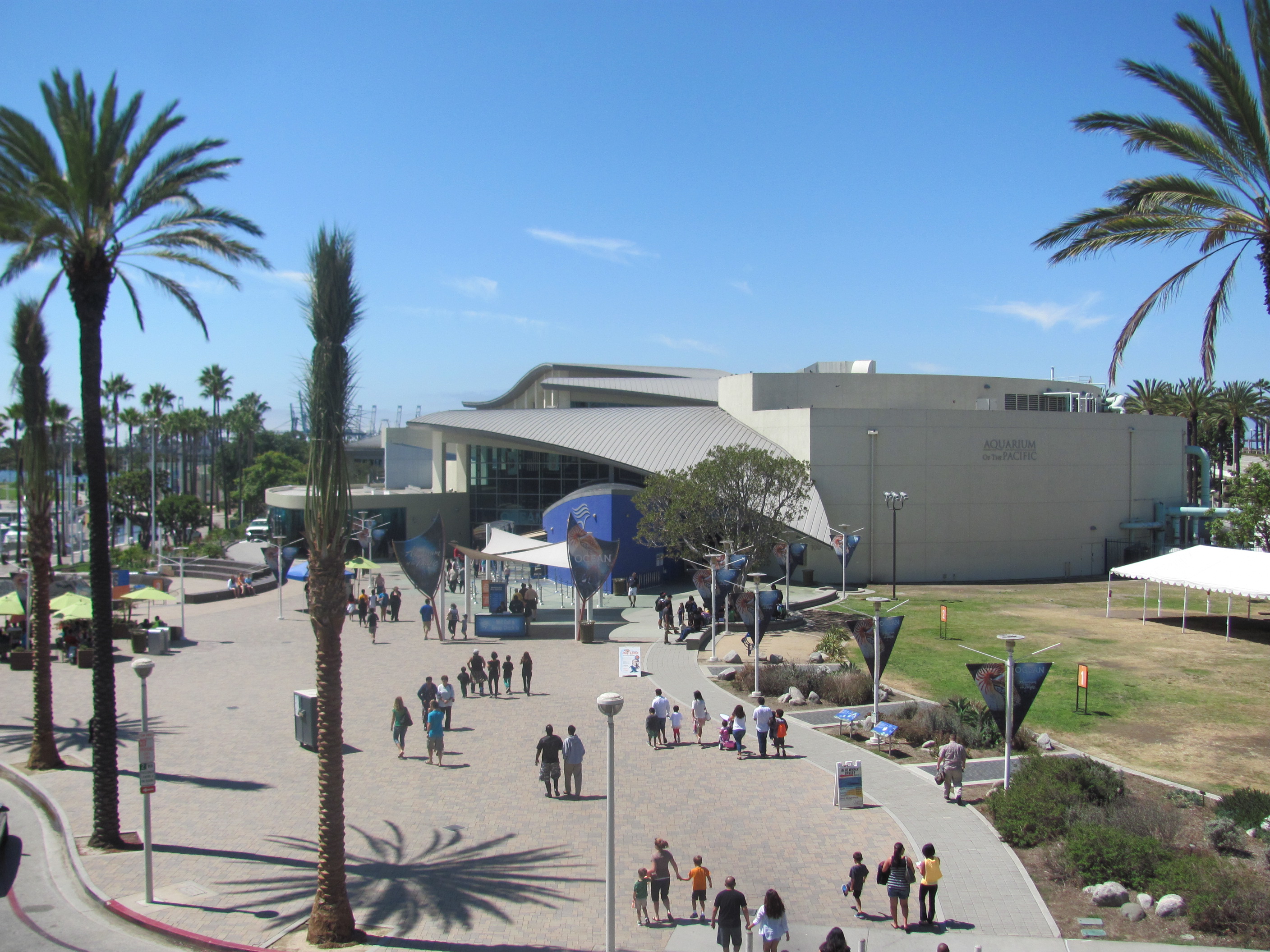 The Aquarium in LA was amazing…enjoy the photos. « Sydney McCoy