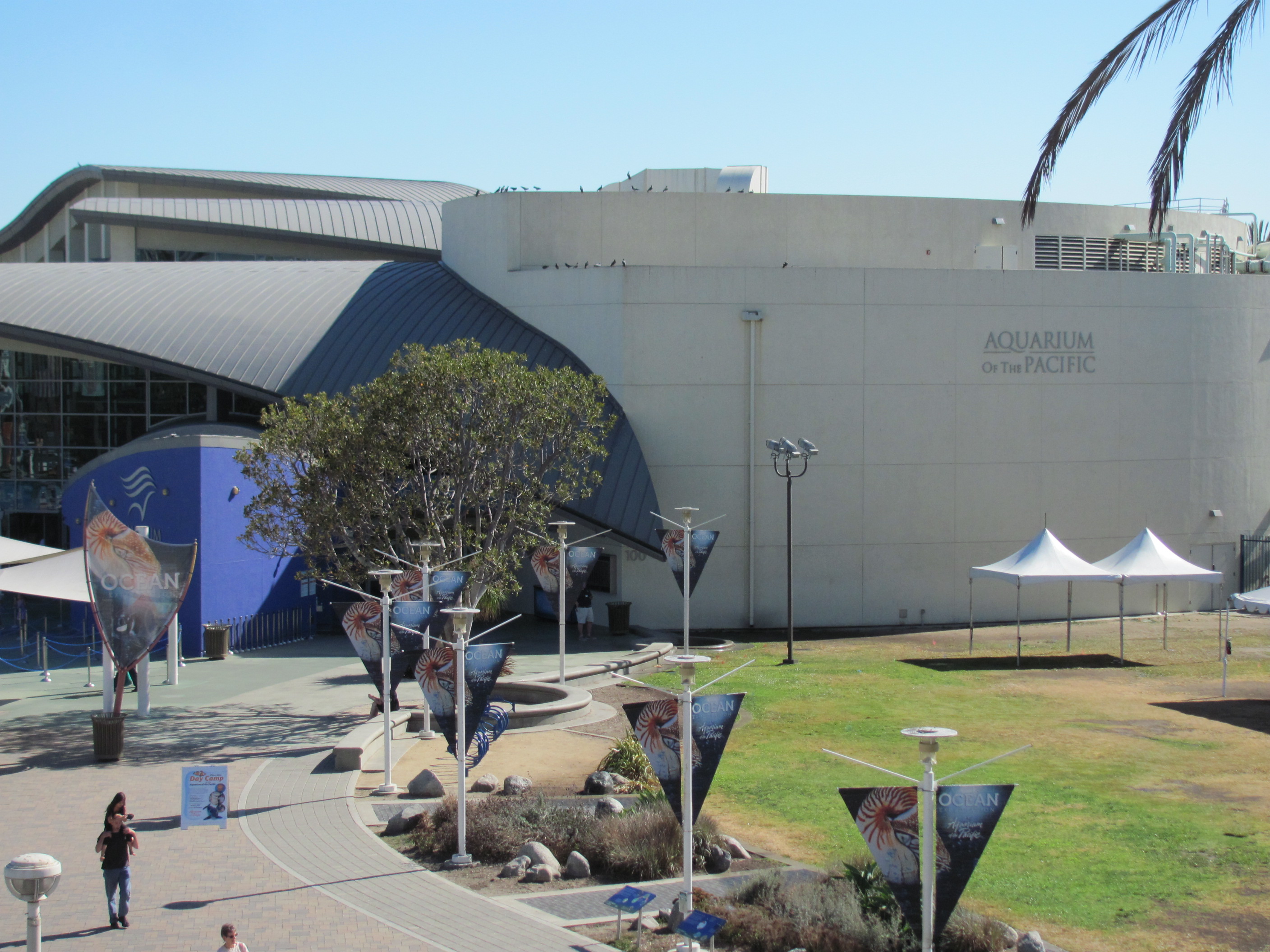 The Aquarium in LA was amazing…enjoy the photos. « Sydney McCoy